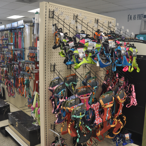 Pet food and supplies inside ofRockstar Pets Store