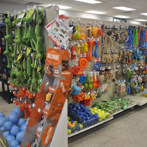 Pet food and supplies inside ofRockstar Pets Store