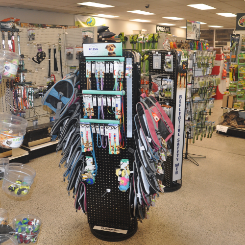 Pet food and supplies inside of Rockstar Pets Store