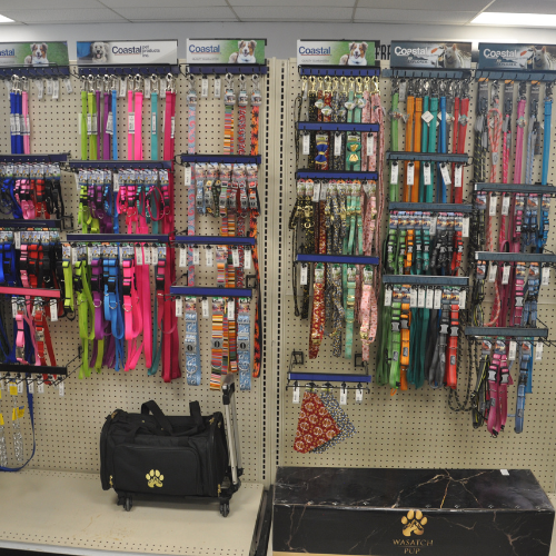 Pet food and supplies inside of Rockstar Pets Store