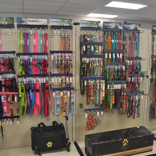 Pet food and supplies inside of Rockstar Pets Store