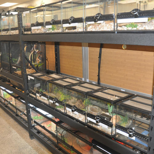 Pet tanks and supplies inside ofRockstar Pets Store