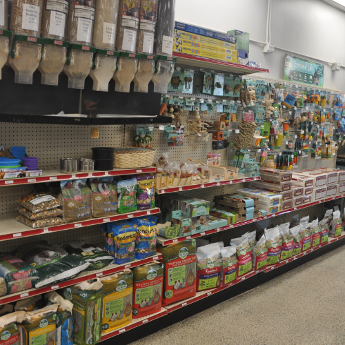 Pet food and supplies inside ofRockstar Pets Store