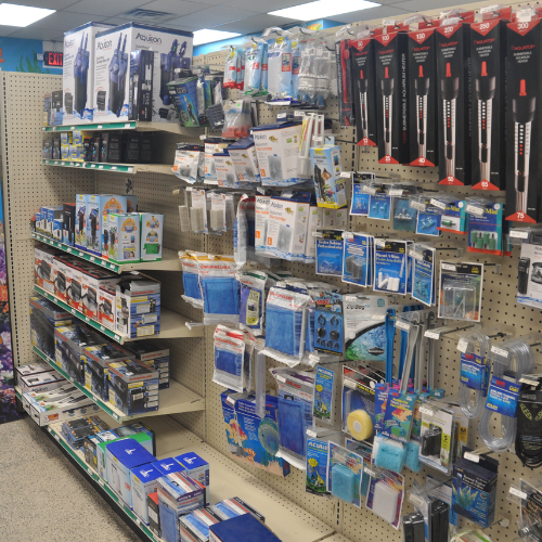 Pet food and supplies inside ofRockstar Pets Store