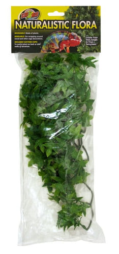Zoo Med Natural Bush™ Plants – Congo Ivy