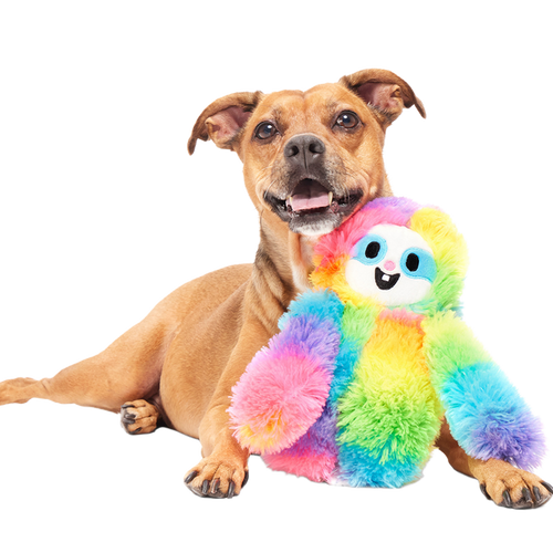 BARK Good Vibes Gary Plush Tug Dog Toy